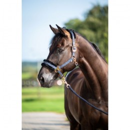 HB Showtime Pioneer Halter Set