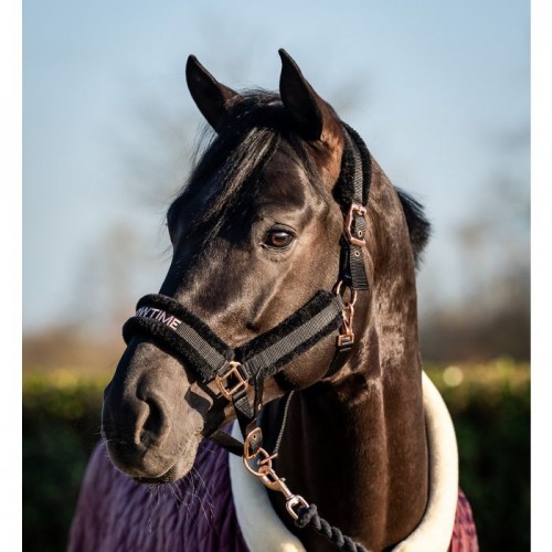 HB Teddy Halter Showtime