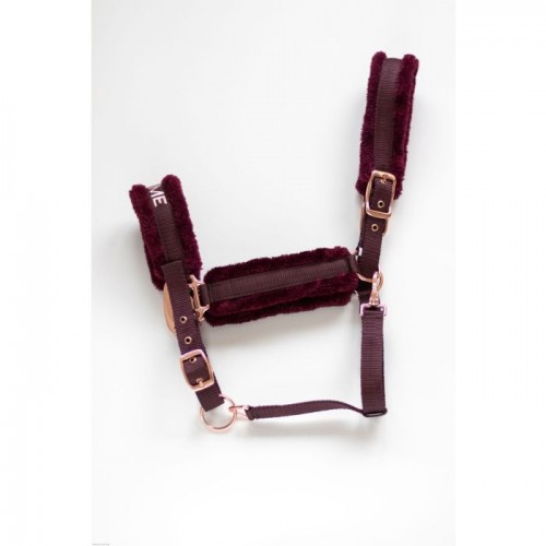 HB Teddy Halter Showtime