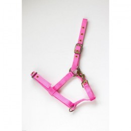 HB Nylon Foal Halter