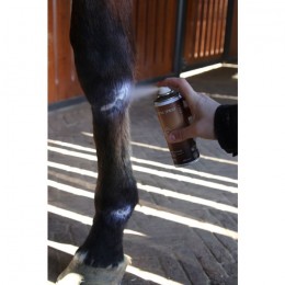 Grooming Deluxe Zinc Spray