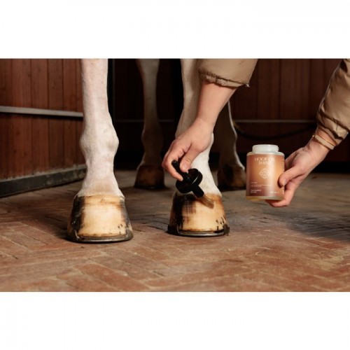 Grooming Deluxe Hoof Oil Shine