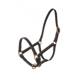 HB leather halter Big Foal