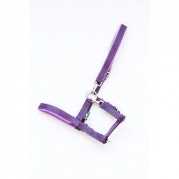 HB EQU-ALL Foal Halter