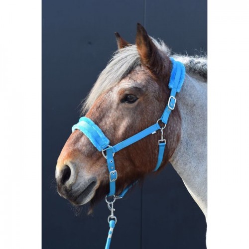 HB Halter Teddy XX-Full