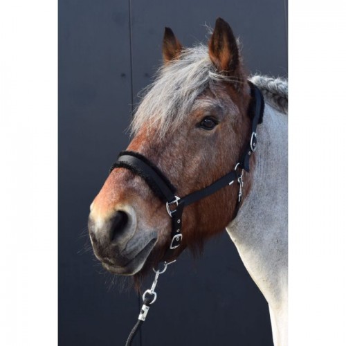 HB Halter Teddy XX-Full