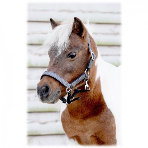 HB Glitter Shine Halter