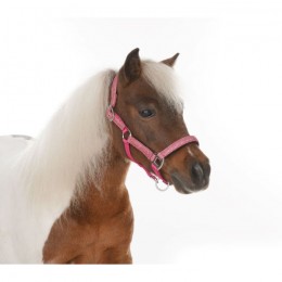 HB Glitter Shine Halter