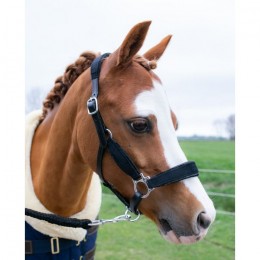 HB Showtime Velvet Glitter Halters Little Sizes