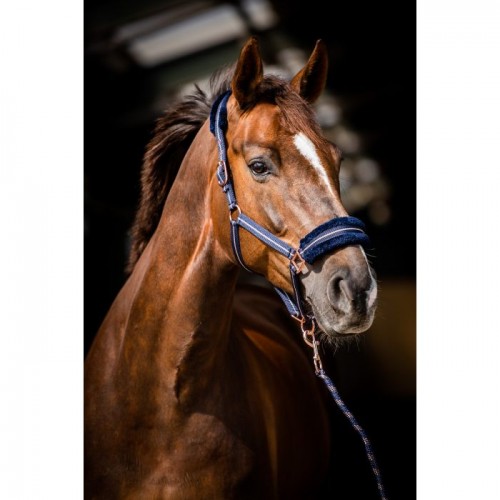 HB Halter Europa Rose