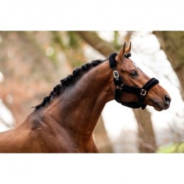 HB halter Rose Gold allround teddy