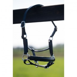 HB Showtime Halter Little Sizes Leather Glitty