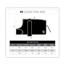 BR Outdoor Foal Rug Classic