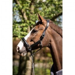 HB Showtime Halter Glitty