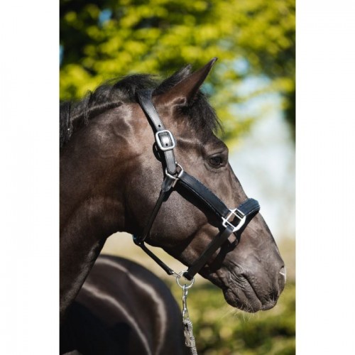 HB Showtime Halter Glitty