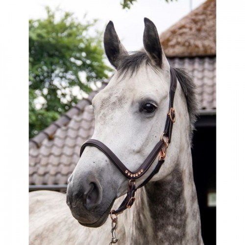 HB Showtime Anatomic Rose Gold Halter