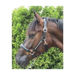 HB Showtime Leather Halter Rose Gold