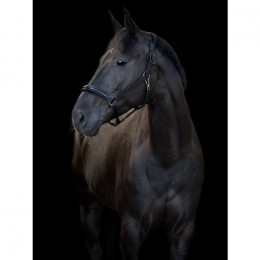 Catago SS25 Leather Halter Novi