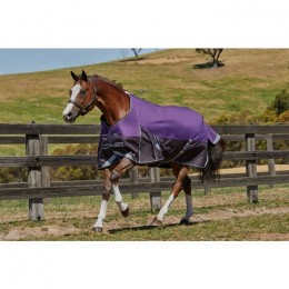 Weatherbeeta ComFiTec Plus Dynamic Standard Lite 0g Purple/Black