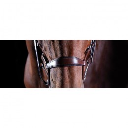 Collegiate ComFiTec Crystal Bridle