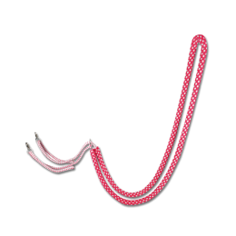 Waldhausen Lunging Aid