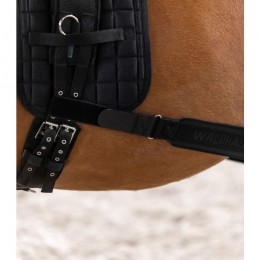 Waldhausen Lunging Band Elastic