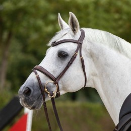 Passier Snaffle Bridle No Limits