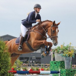 QHP competition jacket Coco