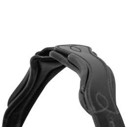 Passier Bridle Fantastic