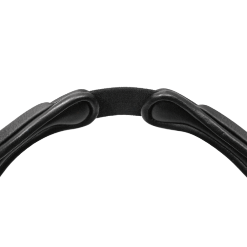 Passier Bridle Fantastic