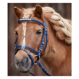 Waldhausen Lucky Heart Mini Bridle