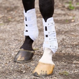 HV Polo SS25 Dressage tendon boots Pro Movement