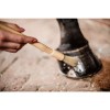 Grooming Deluxe Hoof Pencil