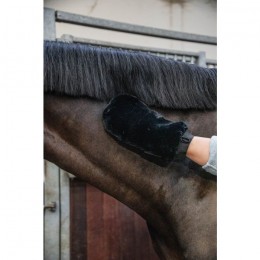 Grooming Deluxe Sheepskin Grooming Glove