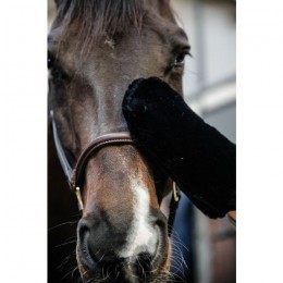 Grooming Deluxe Sheepskin Grooming Glove