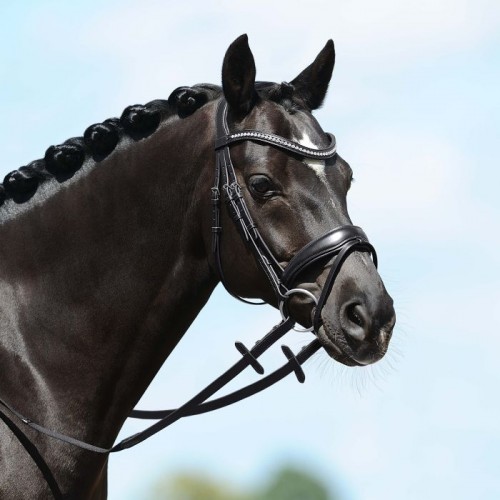Passier Spirit Bridle