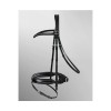 Passier Fortuna Bridle