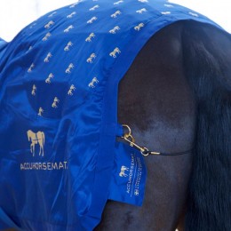 Accuhorsemat Original with acupressure mats