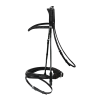 Passier Neptune Bridle