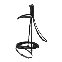 Passier Neptune Bridle