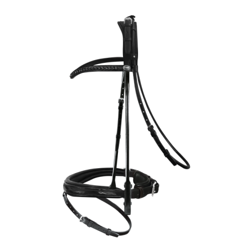 Passier Neptune Bridle