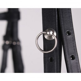 QHP Attachement System for Bridle Charms