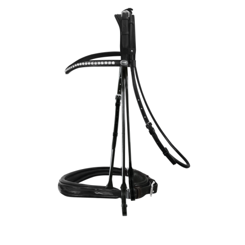 Passier rolled double bridle Icarus