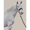 Nalanta Rope Halter