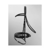 Passier Apollo Bridle