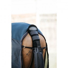 Kentucky Tail Guard with Tail Bag