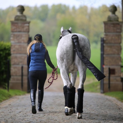 Kentucky Tail Guard with Tail Bag