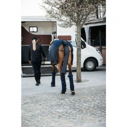 Kentucky Tail Guard with Tail Bag