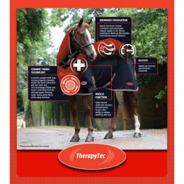 Weatherbeeta Comfitec Premier with Therapy-Tec Detach-A-Neck Lite Plus Black/Silver/Red