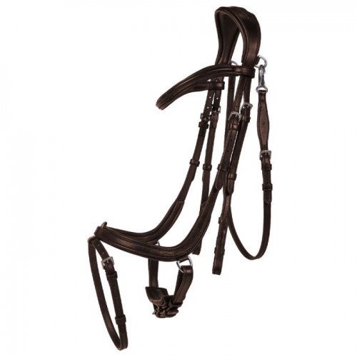 QHP Bridle  Salerno